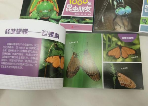 昆虫百科全书适合几岁阅读_如何挑选昆虫百科全书