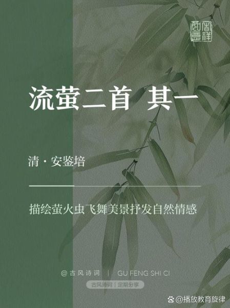 流萤情感表达是什么_流萤情感表达怎么写