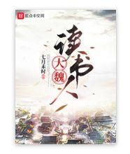 大魏读书人是谁_大魏读书人实力等级