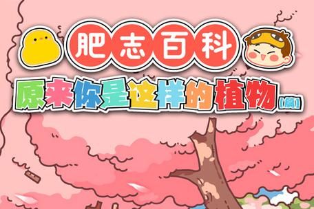 肥志百科适合小学生读吗_如何高效阅读肥志百科