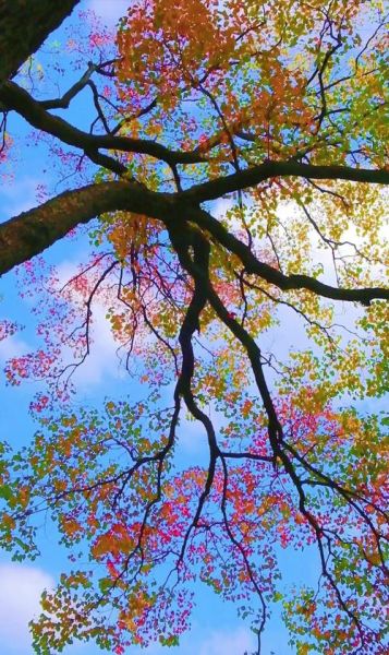 风景摄影如何表达情感_风景摄影情感表达技巧